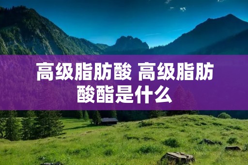 高级脂肪酸 高级脂肪酸酯是什么