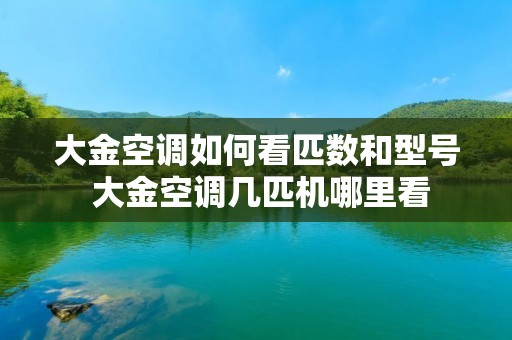 大金空调如何看匹数和型号 大金空调几匹机哪里看