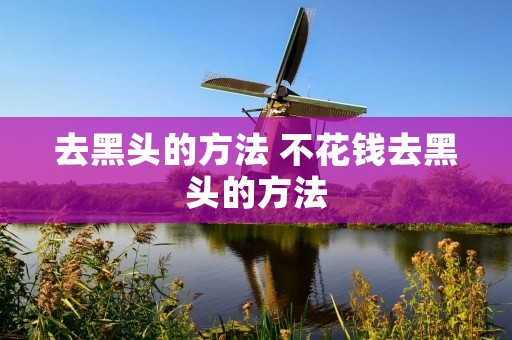 去黑头的方法 不花钱去黑头的方法 去黑头的方法 不花钱去黑头的方法