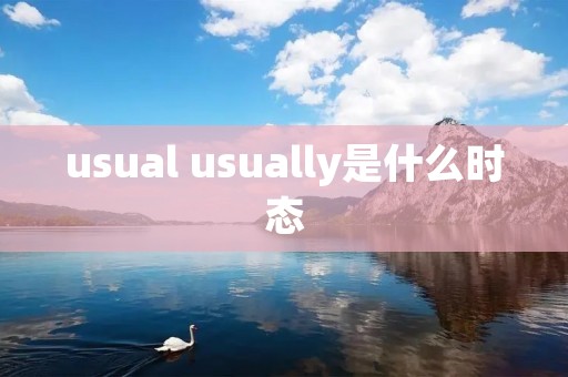 usual usually是什么时态