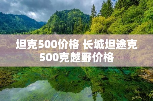坦克500价格 长城坦途克500克越野价格 坦克500价格 长城坦途克500克越野价格