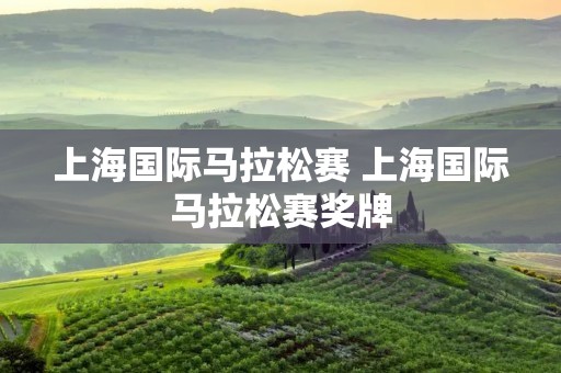 上海国际马拉松赛 上海国际马拉松赛奖牌