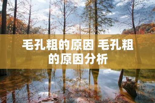 毛孔粗的原因 毛孔粗的原因分析