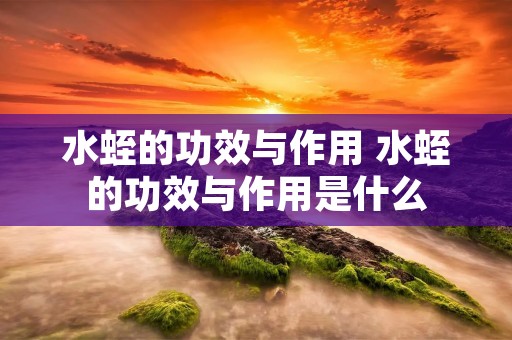 水蛭的功效与作用 水蛭的功效与作用是什么 水蛭的功效与作用 水蛭的功效与作用是什么