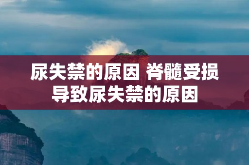 尿失禁的原因 脊髓受损导致尿失禁的原因 尿失禁的原因 脊髓受损导致尿失禁的原因