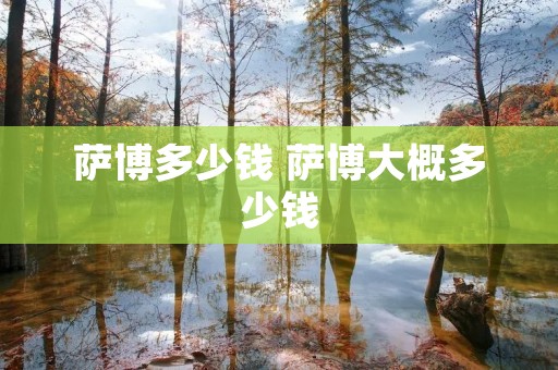 萨博多少钱 萨博大概多少钱 萨博多少钱 萨博大概多少钱
