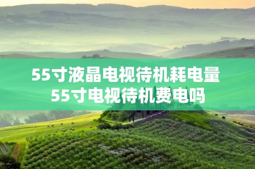 55寸液晶电视待机耗电量 55寸电视待机费电吗 55寸液晶电视待机耗电量 55寸电视待机费电吗