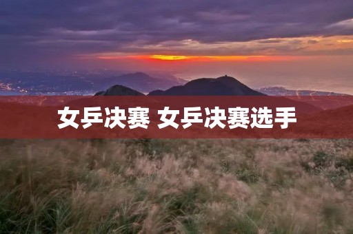 女乒决赛 女乒决赛选手 女乒决赛 女乒决赛选手