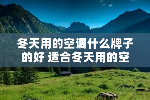 冬天用的空调什么牌子的好 适合冬天用的空调
