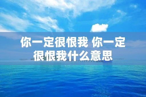 你一定很恨我 你一定很恨我什么意思