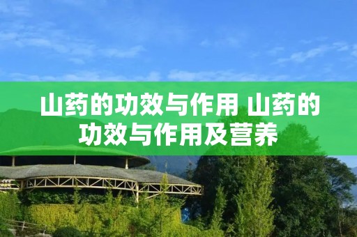 山药的功效与作用 山药的功效与作用及营养