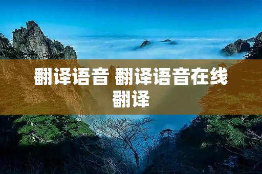 翻译语音 翻译语音在线翻译