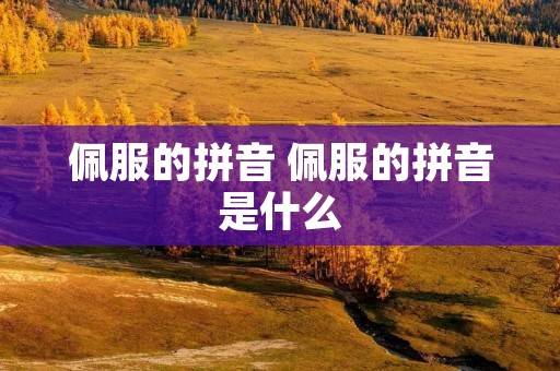佩服的拼音 佩服的拼音是什么