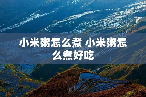 小米粥怎么煮 小米粥怎么煮好吃
