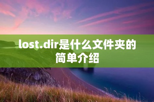 lost.dir是什么文件夹的简单介绍 lost.dir是什么文件夹的简单介绍
