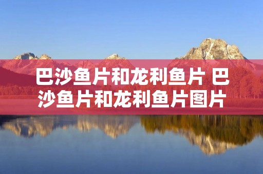 巴沙鱼片和龙利鱼片 巴沙鱼片和龙利鱼片图片 巴沙鱼片和龙利鱼片 巴沙鱼片和龙利鱼片图片