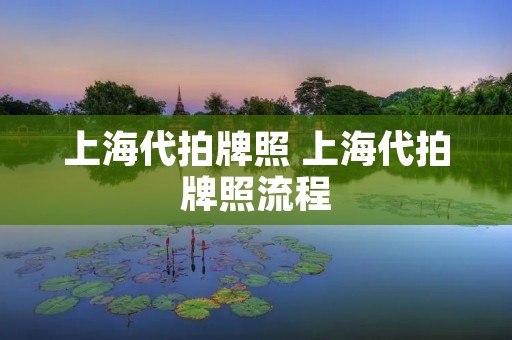 上海代拍牌照 上海代拍牌照流程 上海代拍牌照 上海代拍牌照流程