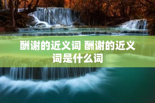 酬谢的近义词 酬谢的近义词是什么词