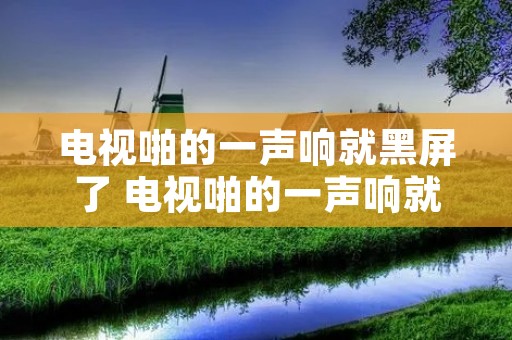 电视啪的一声响就黑屏了 电视啪的一声响就黑屏了怎么办