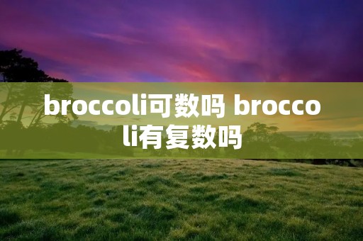 broccoli可数吗 broccoli有复数吗