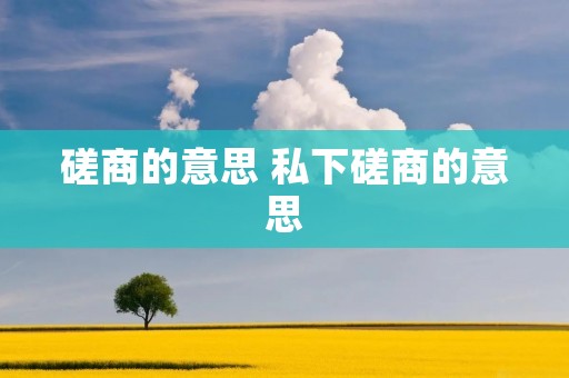 磋商的意思 私下磋商的意思