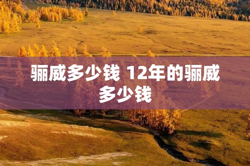 骊威多少钱 12年的骊威多少钱