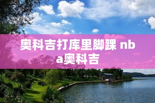 奥科吉打库里脚踝 nba奥科吉