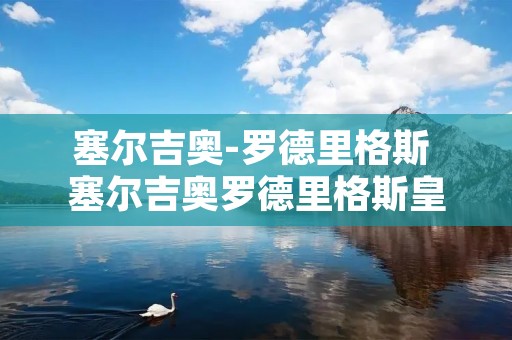 塞尔吉奥-罗德里格斯 塞尔吉奥罗德里格斯皇家贝蒂斯