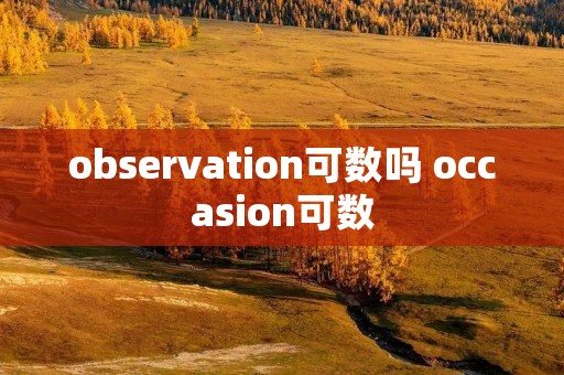 observation可数吗 occasion可数