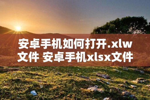 安卓手机如何打开.xlw文件 安卓手机xlsx文件怎么打开