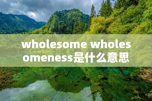 wholesome wholesomeness是什么意思
