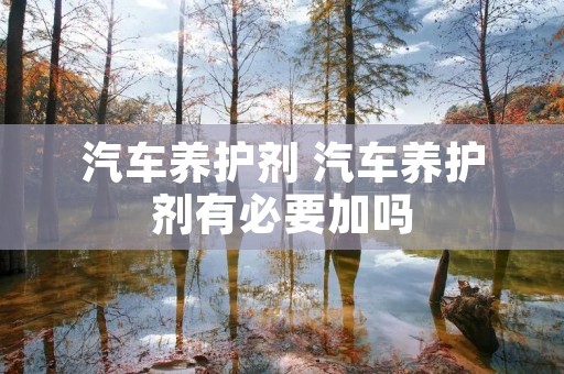 汽车养护剂 汽车养护剂有必要加吗 汽车养护剂 汽车养护剂有必要加吗