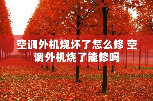 空调外机烧坏了怎么修 空调外机烧了能修吗