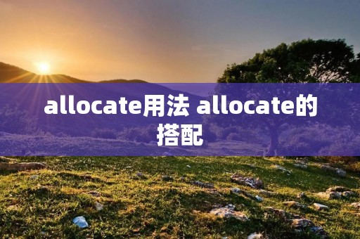 allocate用法 allocate的搭配 allocate用法 allocate的搭配