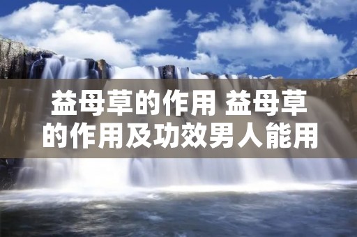 益母草的作用 益母草的作用及功效男人能用吗