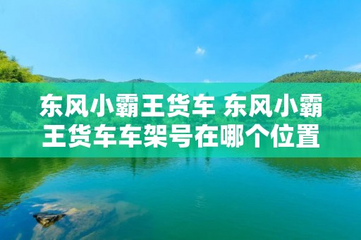 东风小霸王货车 东风小霸王货车车架号在哪个位置 东风小霸王货车 东风小霸王货车车架号在哪个位置
