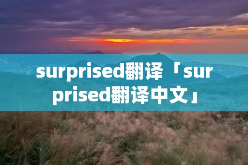 surprised翻译「surprised翻译中文」