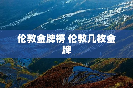伦敦金牌榜 伦敦几枚金牌