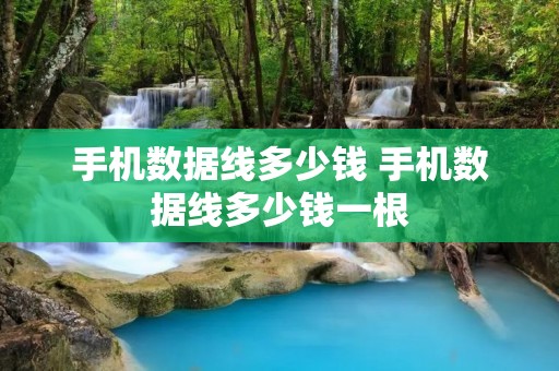 手机数据线多少钱 手机数据线多少钱一根