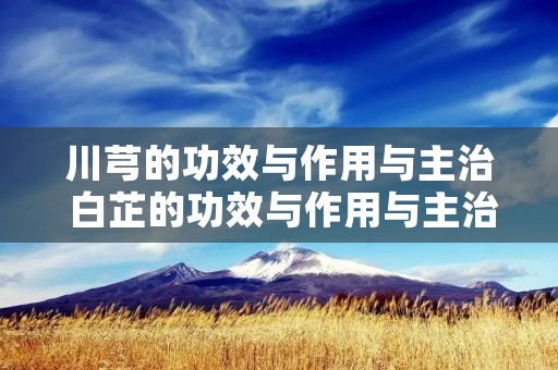 川芎的功效与作用与主治 白芷的功效与作用与主治