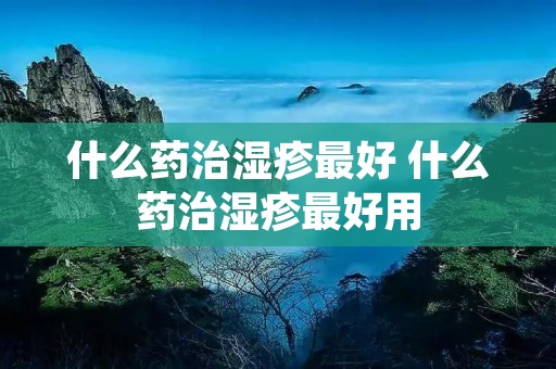 什么药治湿疹最好 什么药治湿疹最好用 什么药治湿疹最好 什么药治湿疹最好用