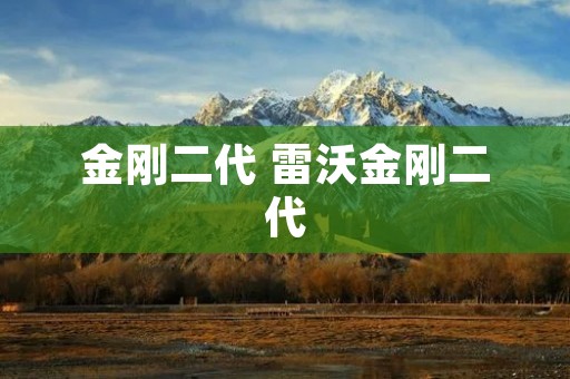 金刚二代 雷沃金刚二代 金刚二代 雷沃金刚二代