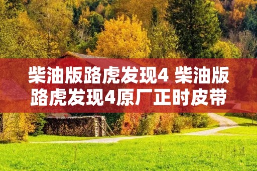 柴油版路虎发现4 柴油版路虎发现4原厂正时皮带是什么品牌