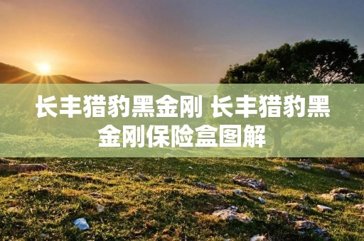 长丰猎豹黑金刚 长丰猎豹黑金刚保险盒图解