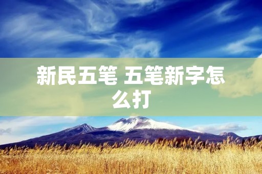 新民五笔 五笔新字怎么打 新民五笔 五笔新字怎么打