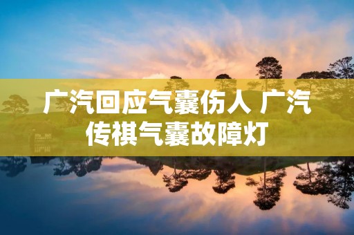 广汽回应气囊伤人 广汽传祺气囊故障灯 广汽回应气囊伤人 广汽传祺气囊故障灯