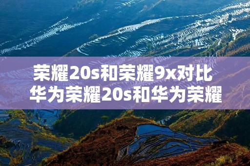 荣耀20s和荣耀9x对比 华为荣耀20s和华为荣耀9x哪个更好