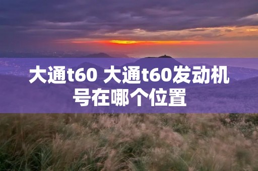 大通t60 大通t60发动机号在哪个位置