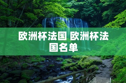 欧洲杯法国 欧洲杯法国名单 欧洲杯法国 欧洲杯法国名单
