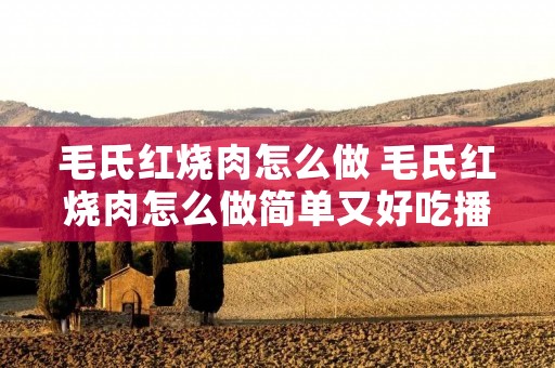毛氏红烧肉怎么做 毛氏红烧肉怎么做简单又好吃播放视频